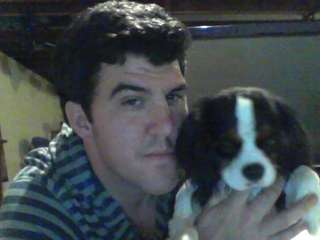 Available (Cavalier King Charles Spaniel)