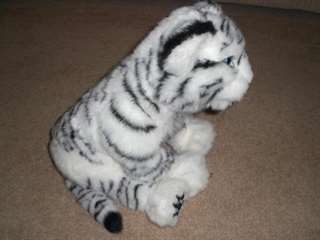 Lovely baby cubs and cheetah for sale(304)451-0467