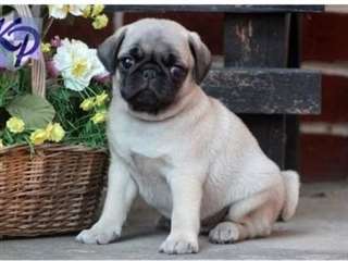 Préparez-vous maintenant pour les maisons neuves A