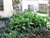 Condo a Cypress Chase 1#&#233;tage Floride Fort Laud - photo 8