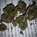 Ne vous inquiétez pas être heureux! Smoke marijuan - photo 2