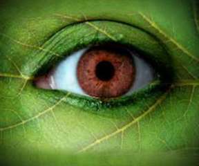 marabout médium consultation gratuite