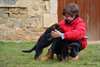 Chiot types Berger allemand femelle - photo 1