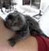 Des b&#233;b&#233; primates bien form&#233; pour vous - photo 1