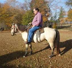 AQHA hongre enregistr&#233; (Quarter Horse)
