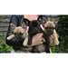 Beau chiots Bouledogue français Lopez - photo 1