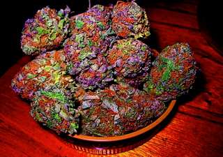 Souches Marijuana et huile de Cannabis à vendre !!