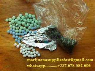 Médicaments en vrac à vendre, Produits chimiques d