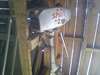 canot 12 pi.alumi.et moteur 2 hp. - photo 3