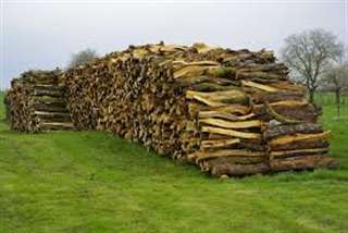 bois de chauffage sec a 100