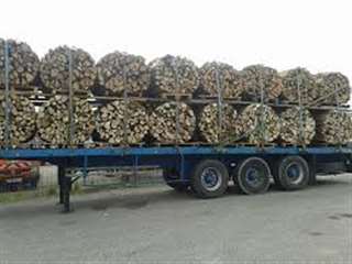bois de chauffage sec