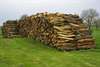 bois de chauffage a 30€ + livraison a domicile - photo 1