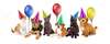 CHIOTS,CHATONS tt les races girod2000-7@yahoo.ca - photo 1