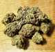 Fresh medical buds available - Annonce classée # 507251