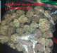 marijuana médicale - Annonce classée # 513359