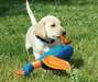 Tr&#232;s beau chiot labrador retriever &#224; donner - photo 2
