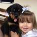 Chiots Rottweiler - Annonce classée # 537029