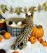 Chatons Savannah A Vendre - Annonce classée # 537072