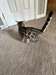 Chatons Bengal - Annonce classée # 537077