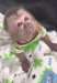 GORGEOUS_MALE_AND_FEMALE_CAPUCHIN SINGES - Annonce classée # 537083