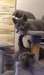 Beaux chatons britanniques - photo 1
