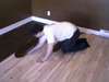 POSE ET SABLAGE DE PLANCHER SANS POUSSIERE - photo 3