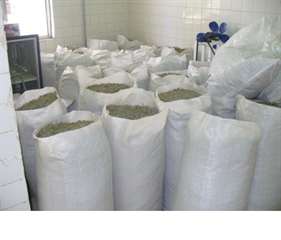 On vend toutes sortes de plantes médicinales